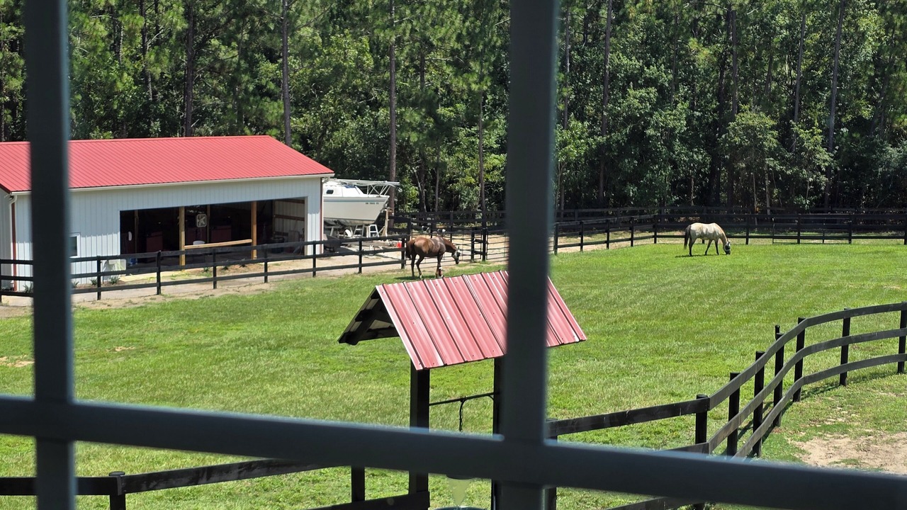 Photo of Others in Aiken
