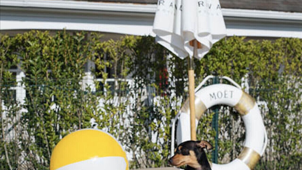 Photo of Outdoor in North Sea