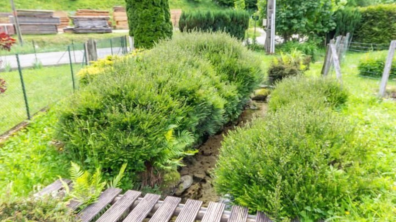 Photo of Outdoor in Saint-Pierre-d'Entremont