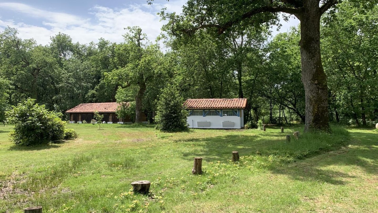 Photo of Outdoor in Labrit