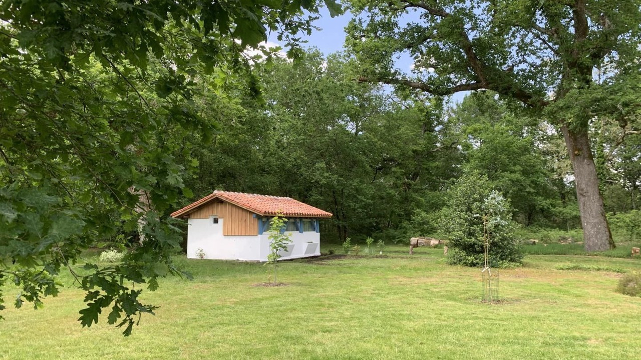 Photo of Outdoor in Labrit