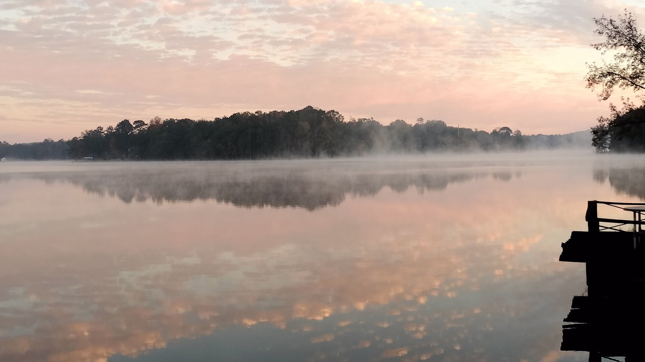 Photo of Others in Jackson