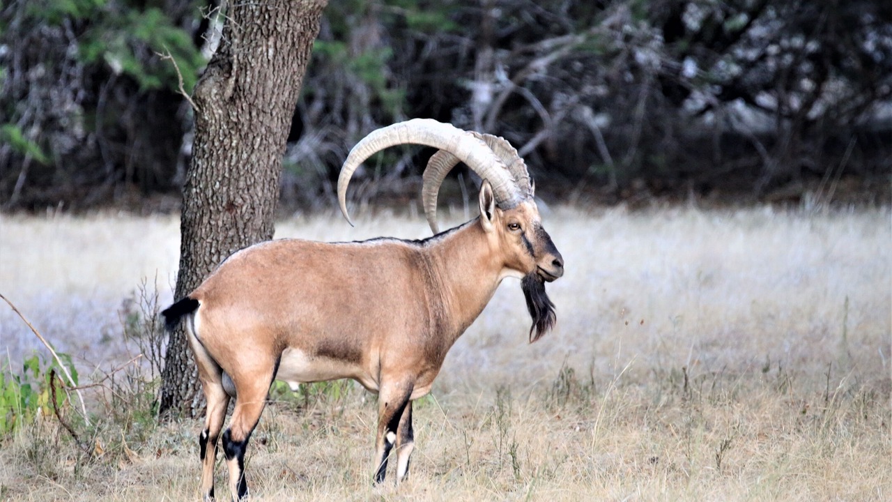 Photo of Others in Gatesville