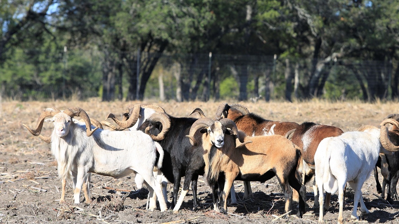 Photo of Others in Gatesville