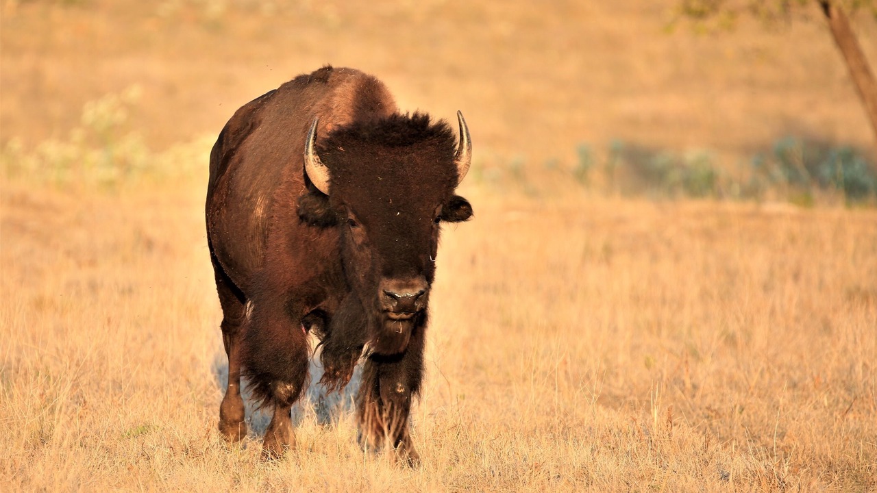 Photo of Others in Gatesville