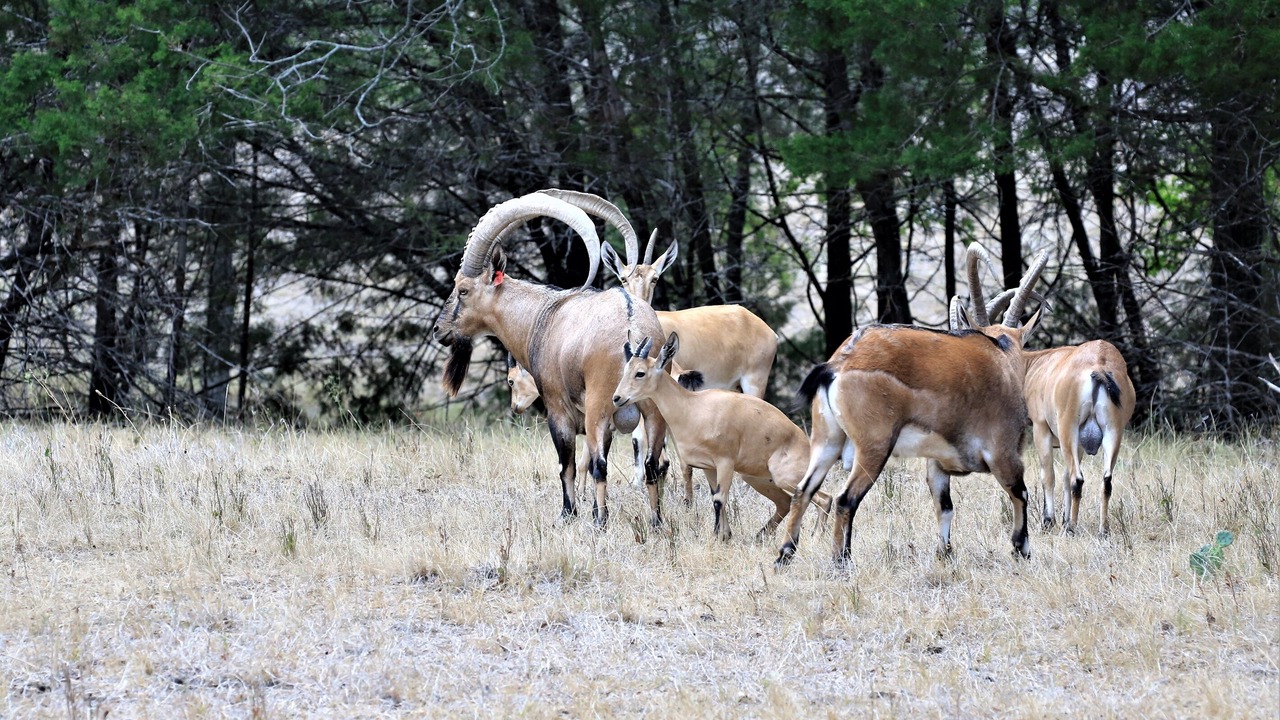 Photo of Others in Gatesville