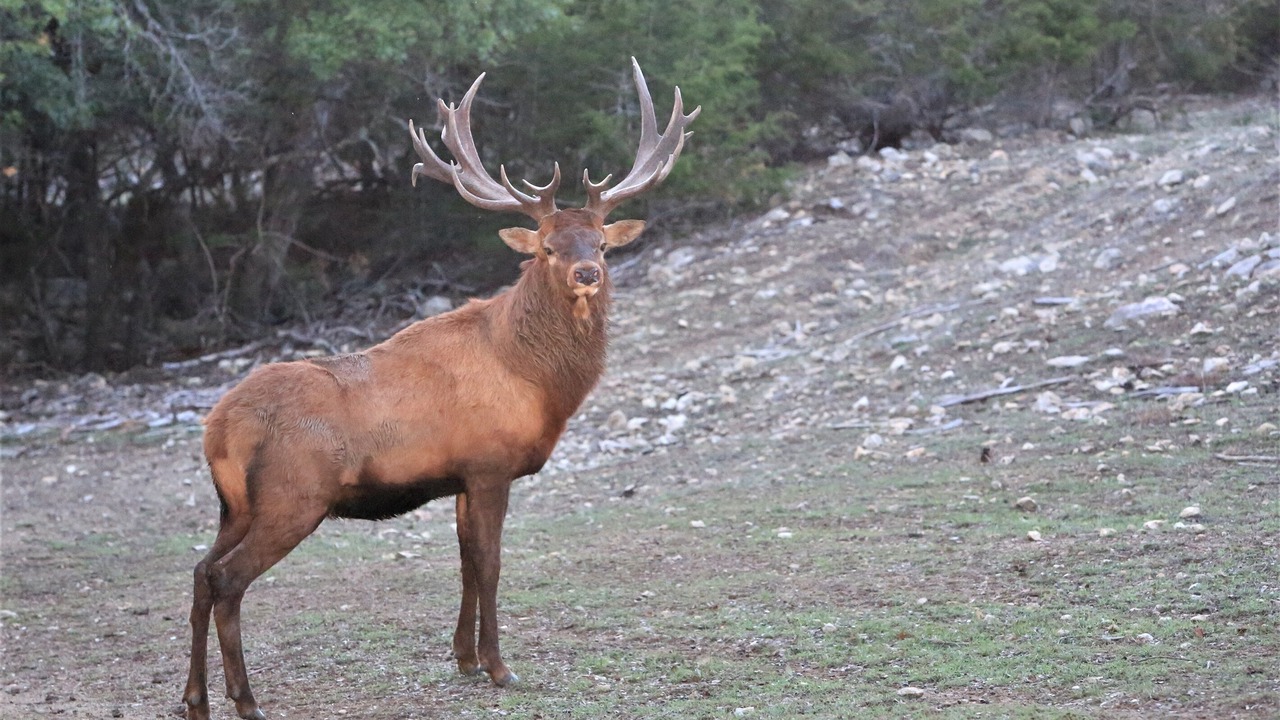 Photo of Others in Gatesville