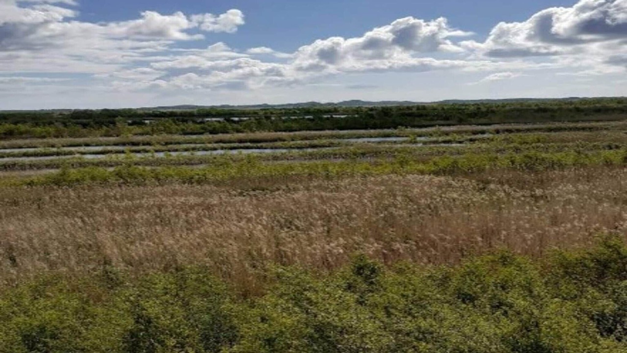 Photo of Outdoor in Thyboron