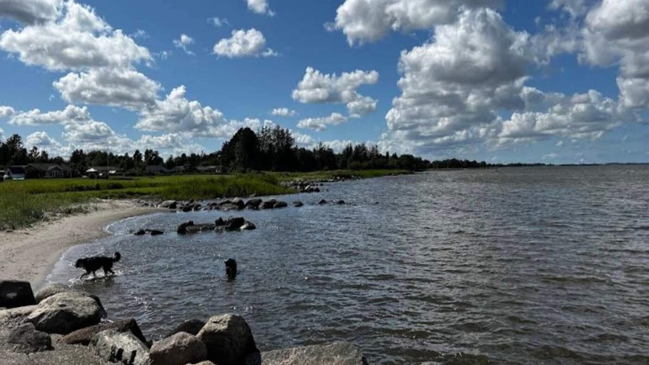 Photo of Outdoor in Thyboron