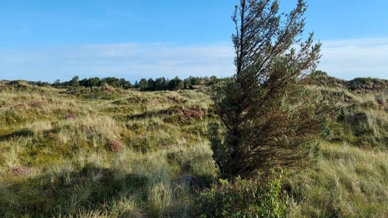 Photo of Outdoor in Thyboron
