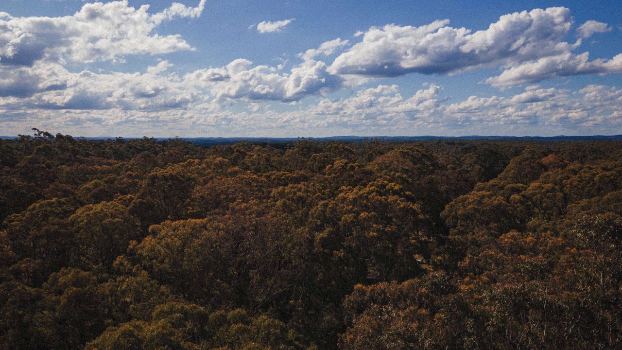 Photo of Others in Colo Heights