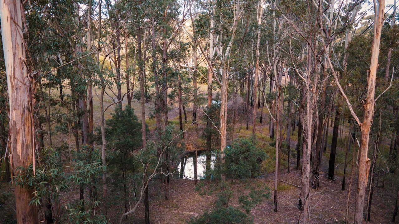 Photo of Others in Colo Heights