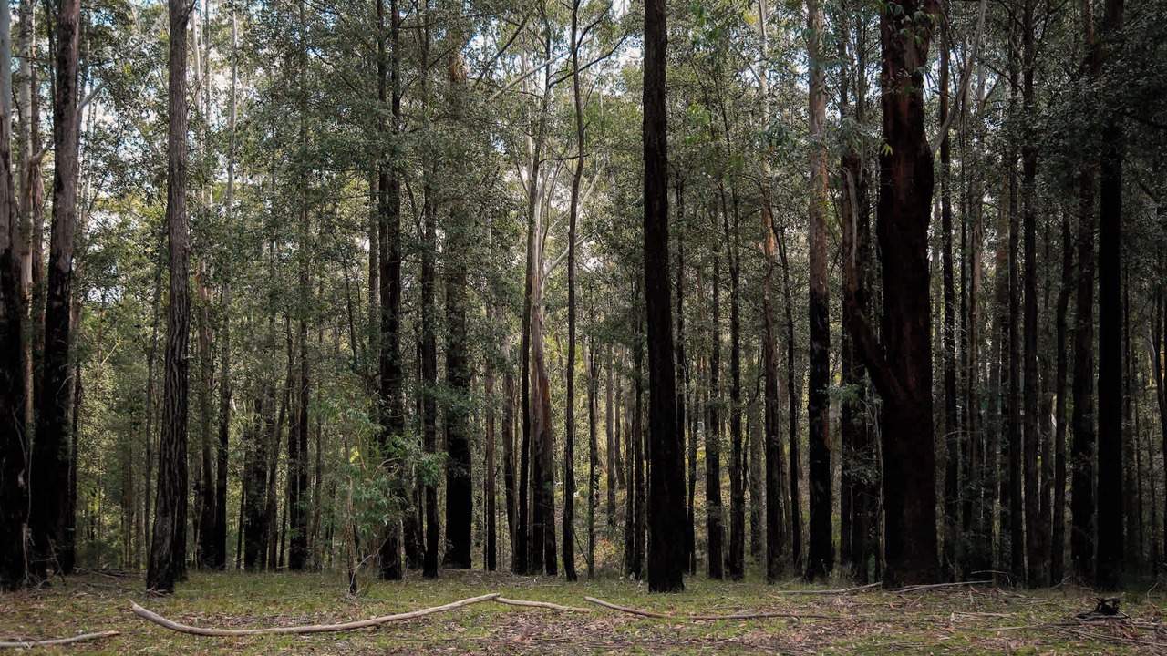 Photo of Others in Colo Heights