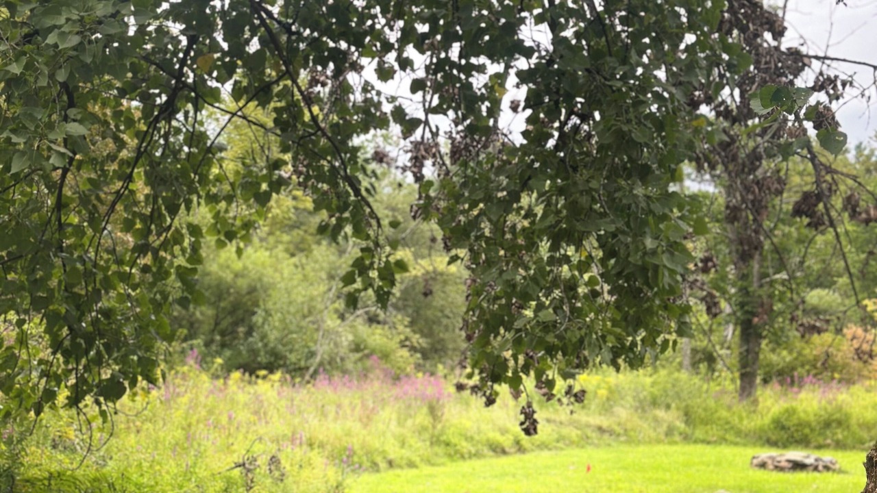 Photo of Outdoor in Accord