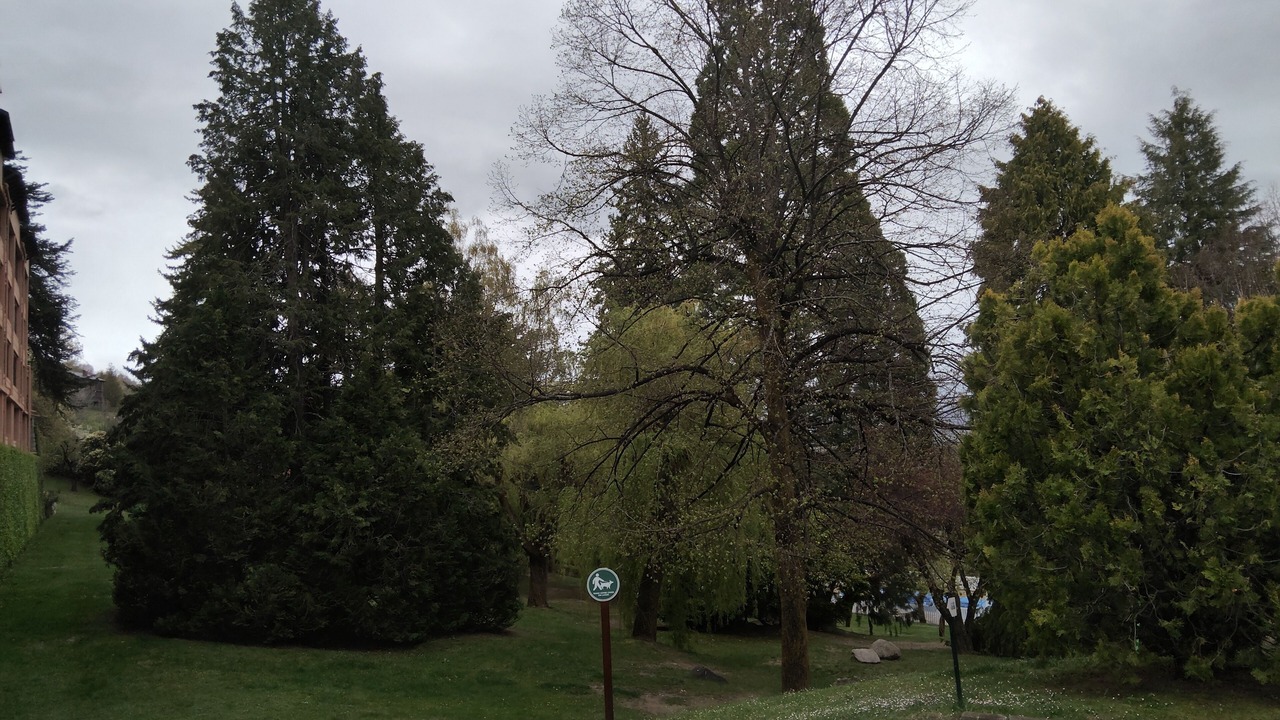 Photo of Outdoor in Enveitg