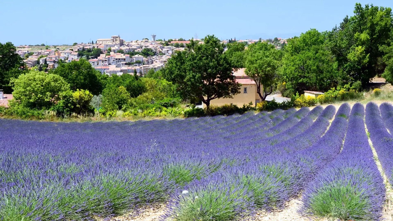 Photo of Others in Valensole