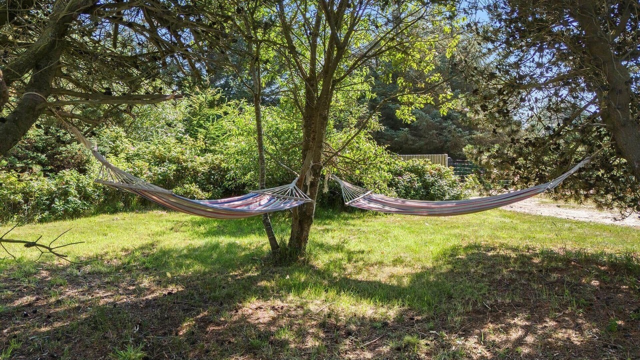Photo of Outdoor in Vedersø Klit