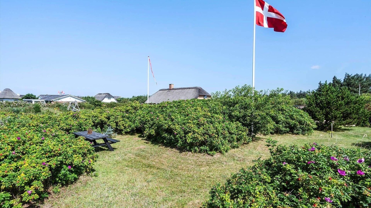 Photo of Outdoor in Vedersø Klit