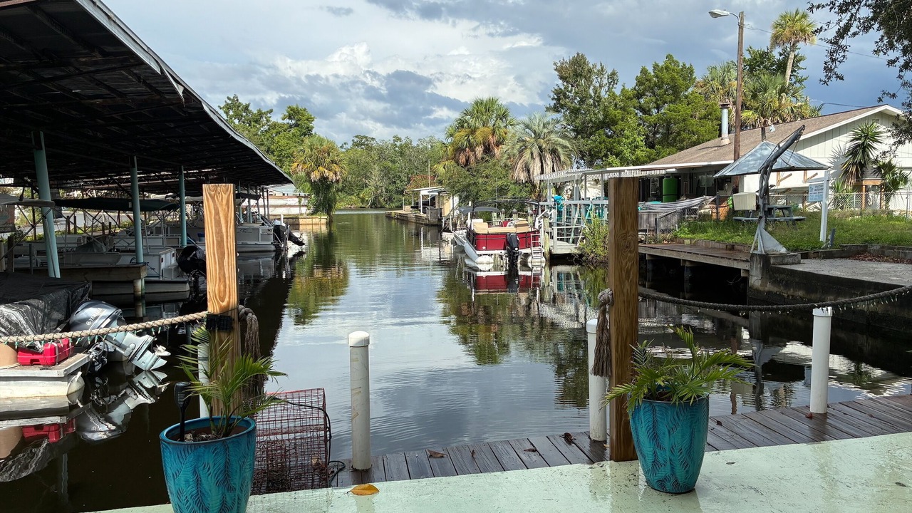 Photo of Others in Homosassa