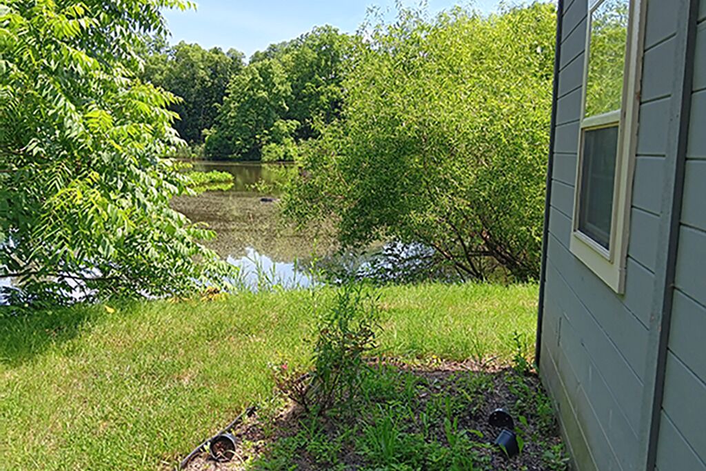 Photo of Outdoor in Delaware