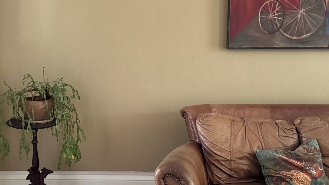 Photo of Livingroom in Albion
