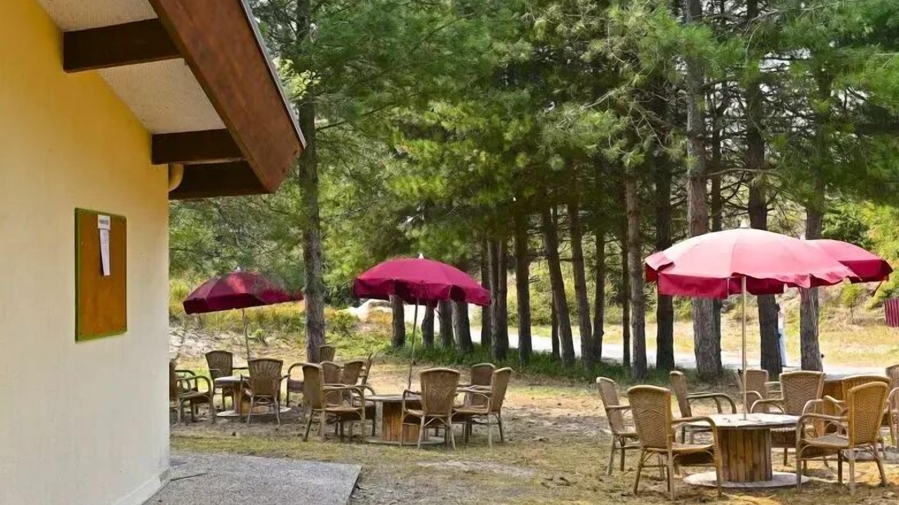 Photo of Outdoor in Sainte-Cecile-Plage