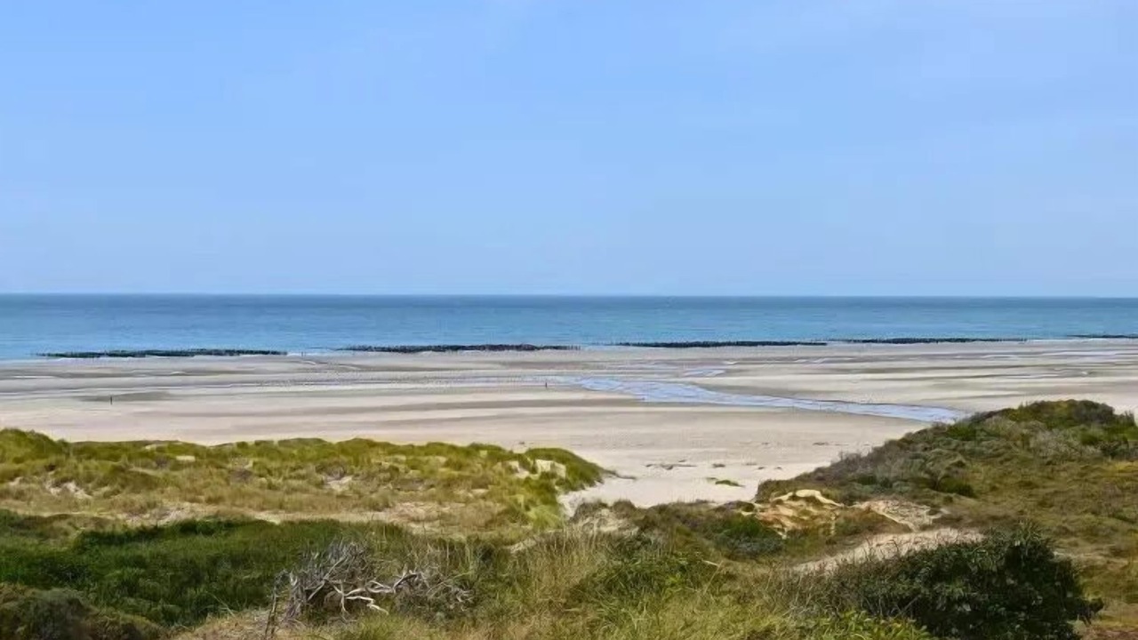 Photo of Others in Sainte-Cecile-Plage