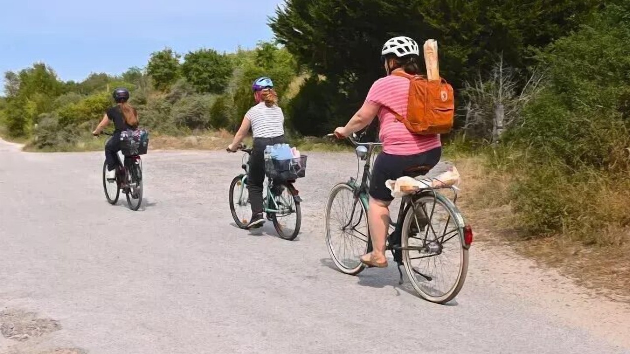 Photo of Others in Sainte-Cecile-Plage