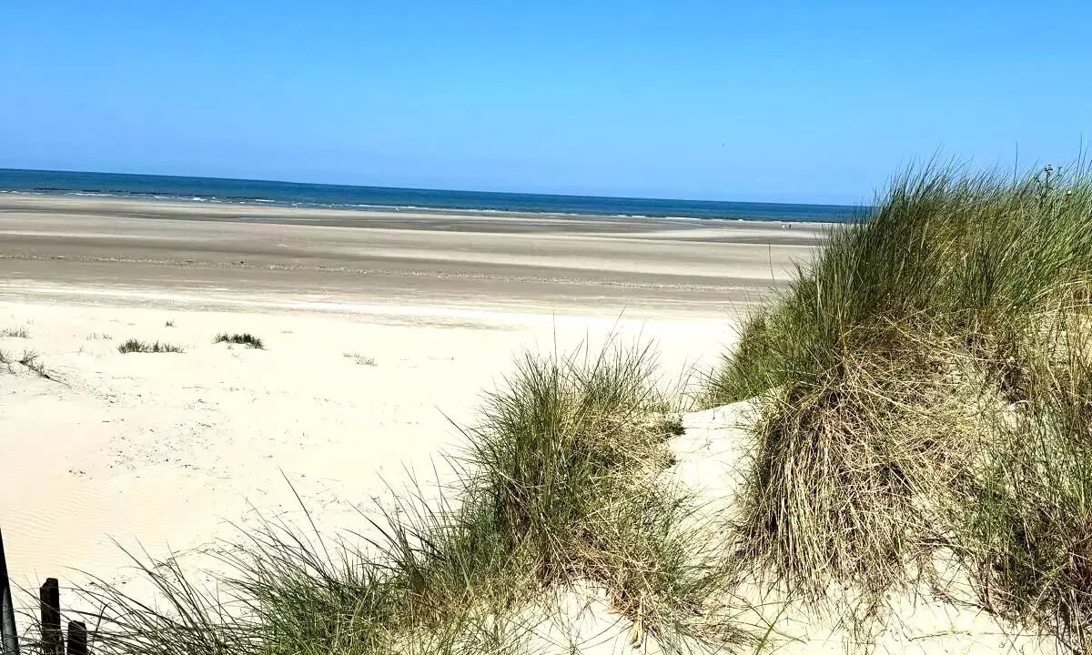 Photo of Others in Sainte-Cecile-Plage