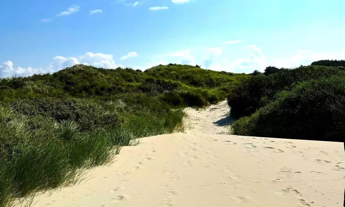 Photo of Others in Sainte-Cecile-Plage