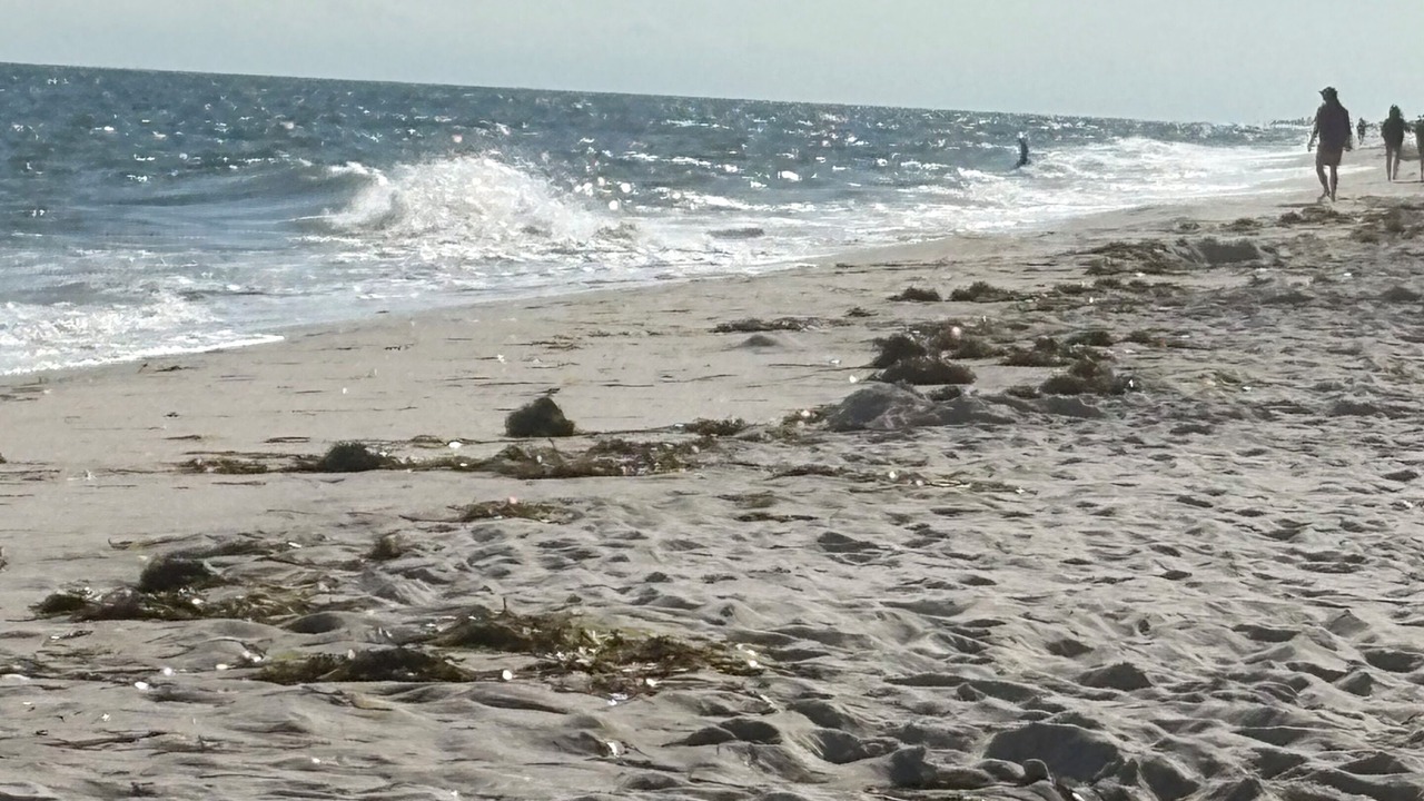 Photo of Others in Ocean Beach