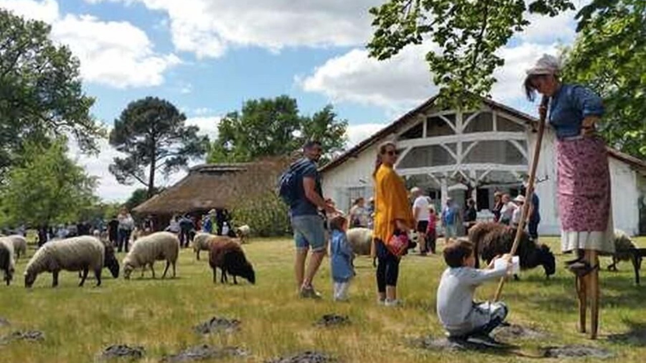 Photo of Others in Haut-Mauco