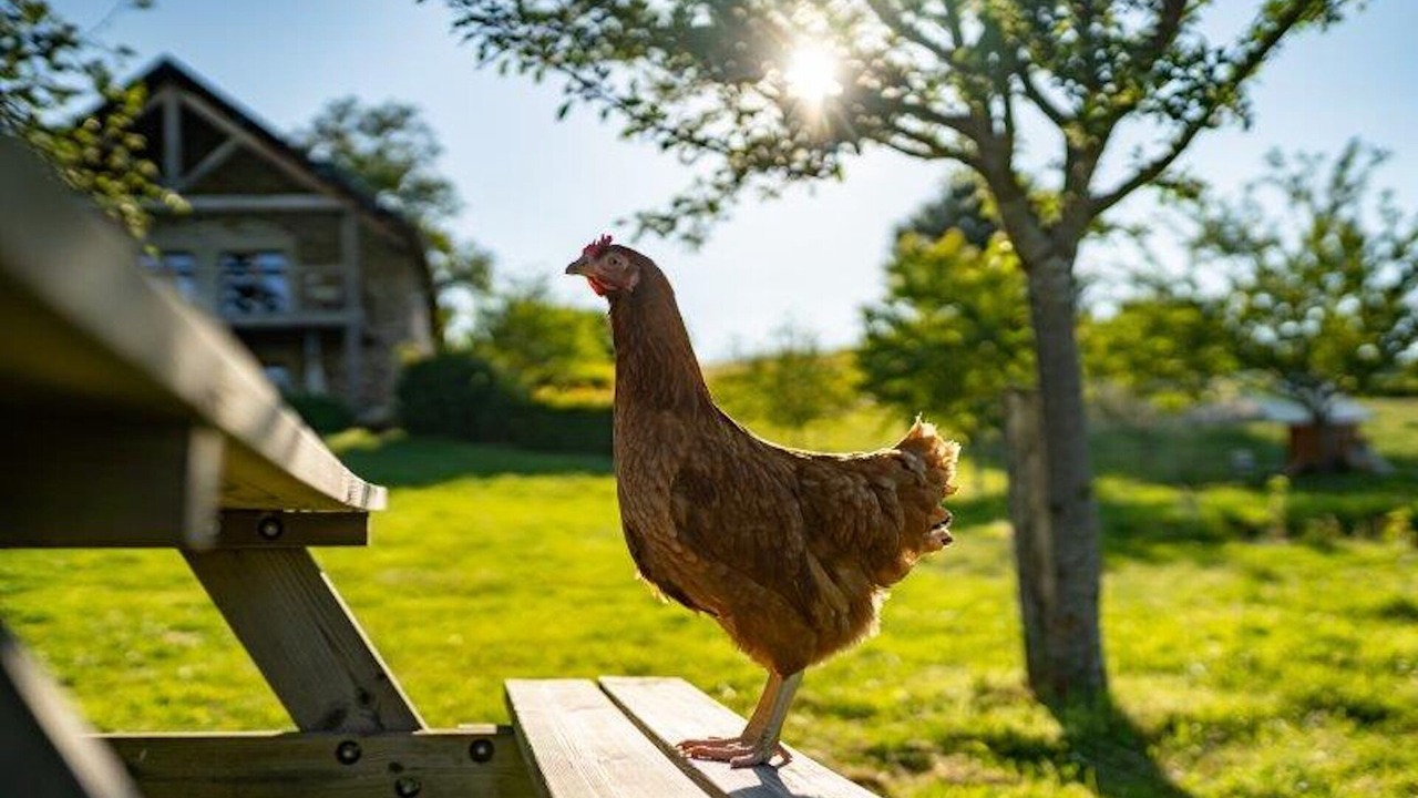 Photo of Outdoor in Chiddes