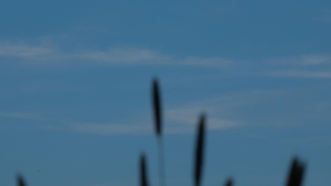 Photo of Outdoor in Chiddes