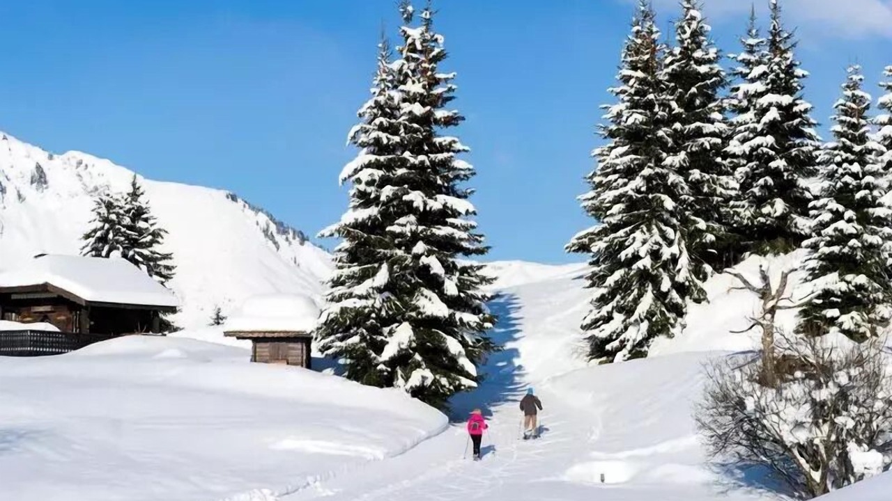 Photo of Others in Bois-d'Amont