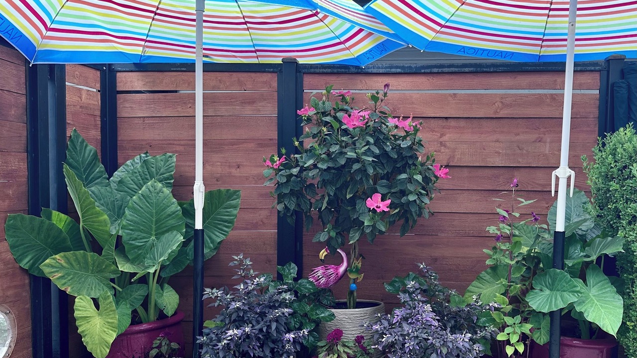 Photo of Outdoor in Highland Park