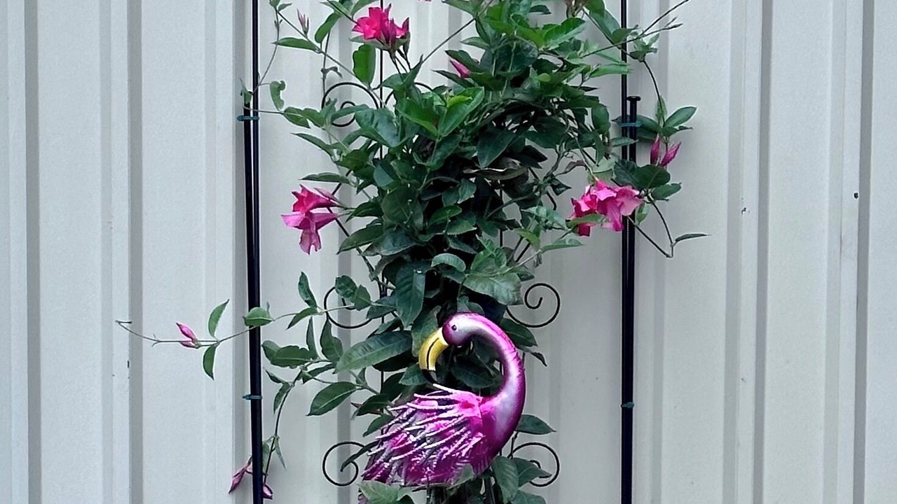 Photo of Outdoor in Highland Park