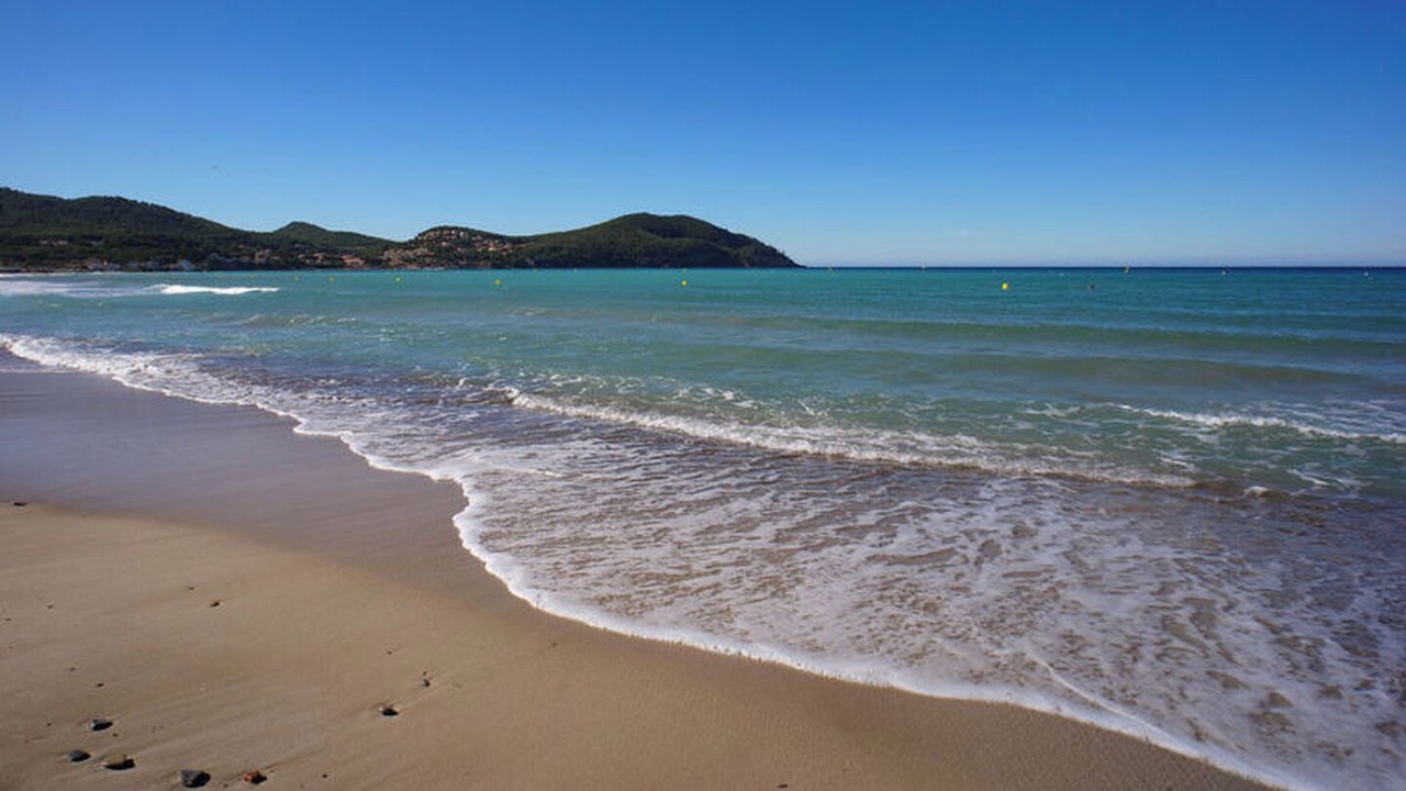 Photo of Others in Signes