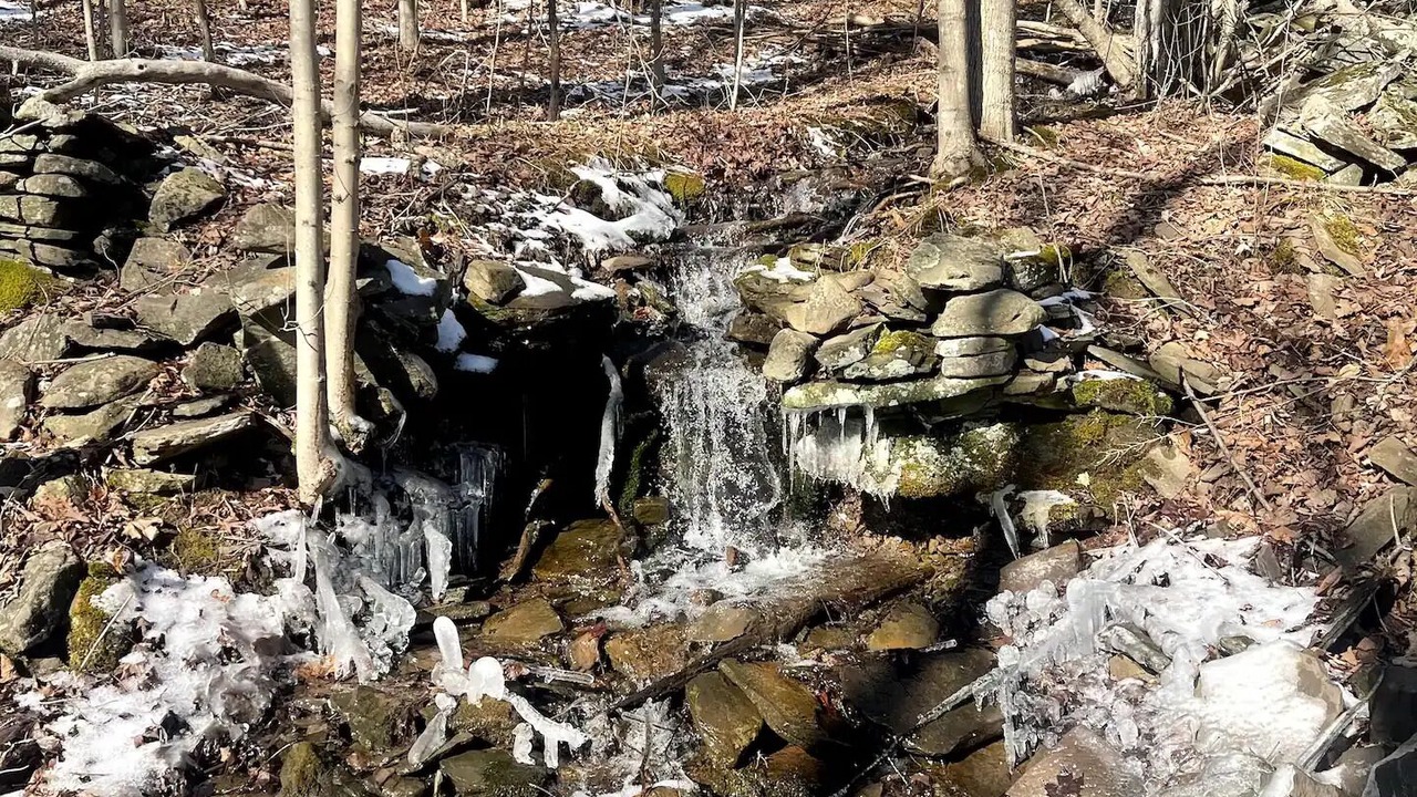 Photo of Others in Fleischmanns