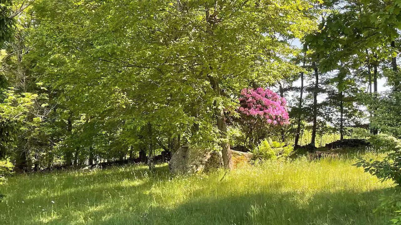 Photo of Others in Fleischmanns