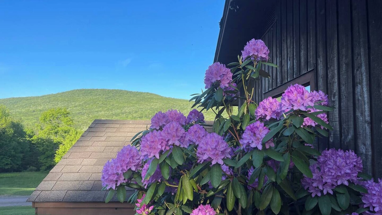 Photo of Outdoor in Fleischmanns