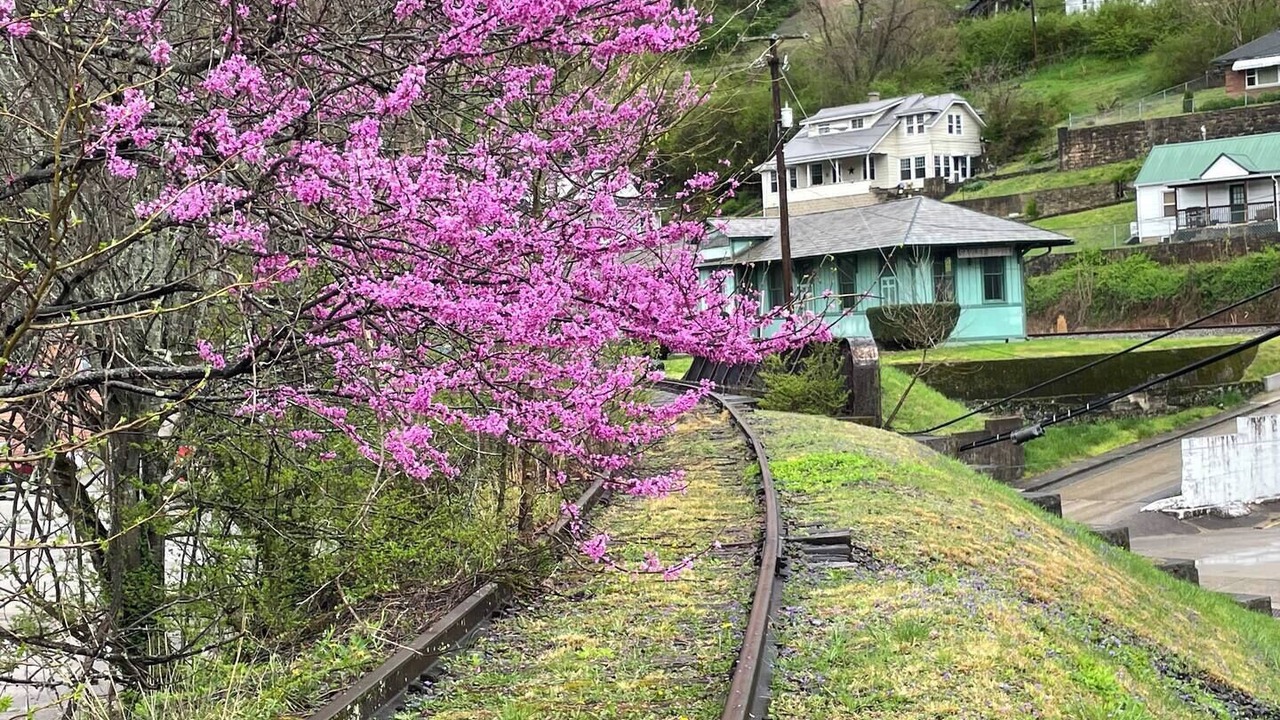 Photo of Outdoor in Charlton Heights