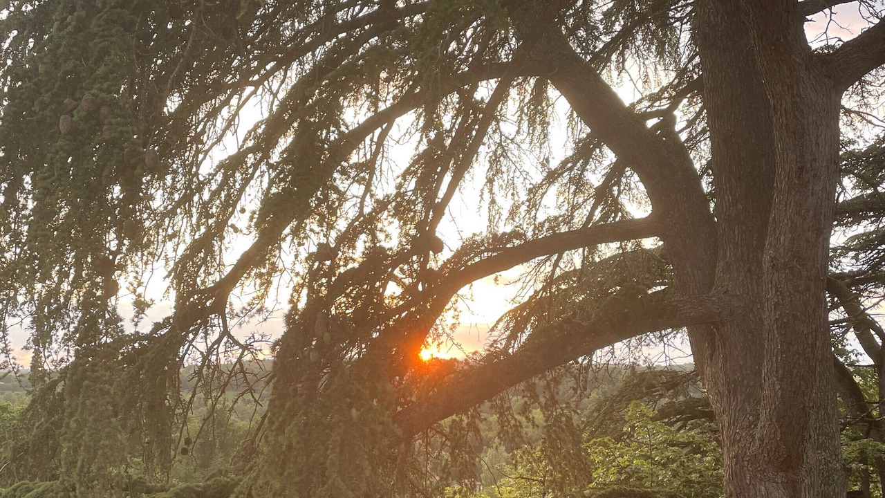 Photo of Others in Astaffort