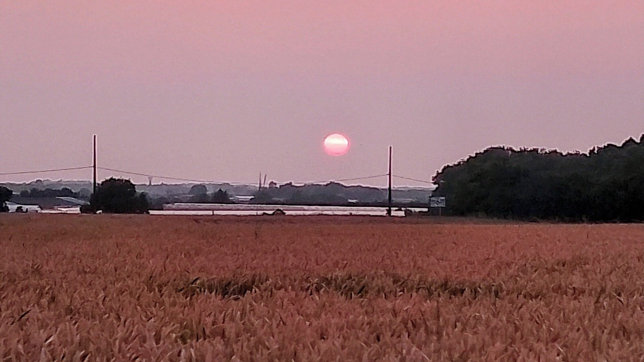 Photo of Others in Corme-Royal