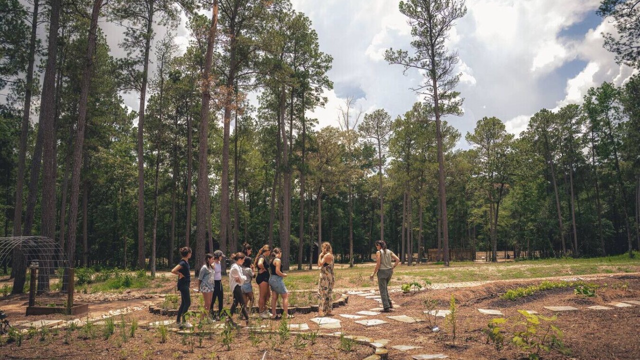 Photo of Others in Conroe