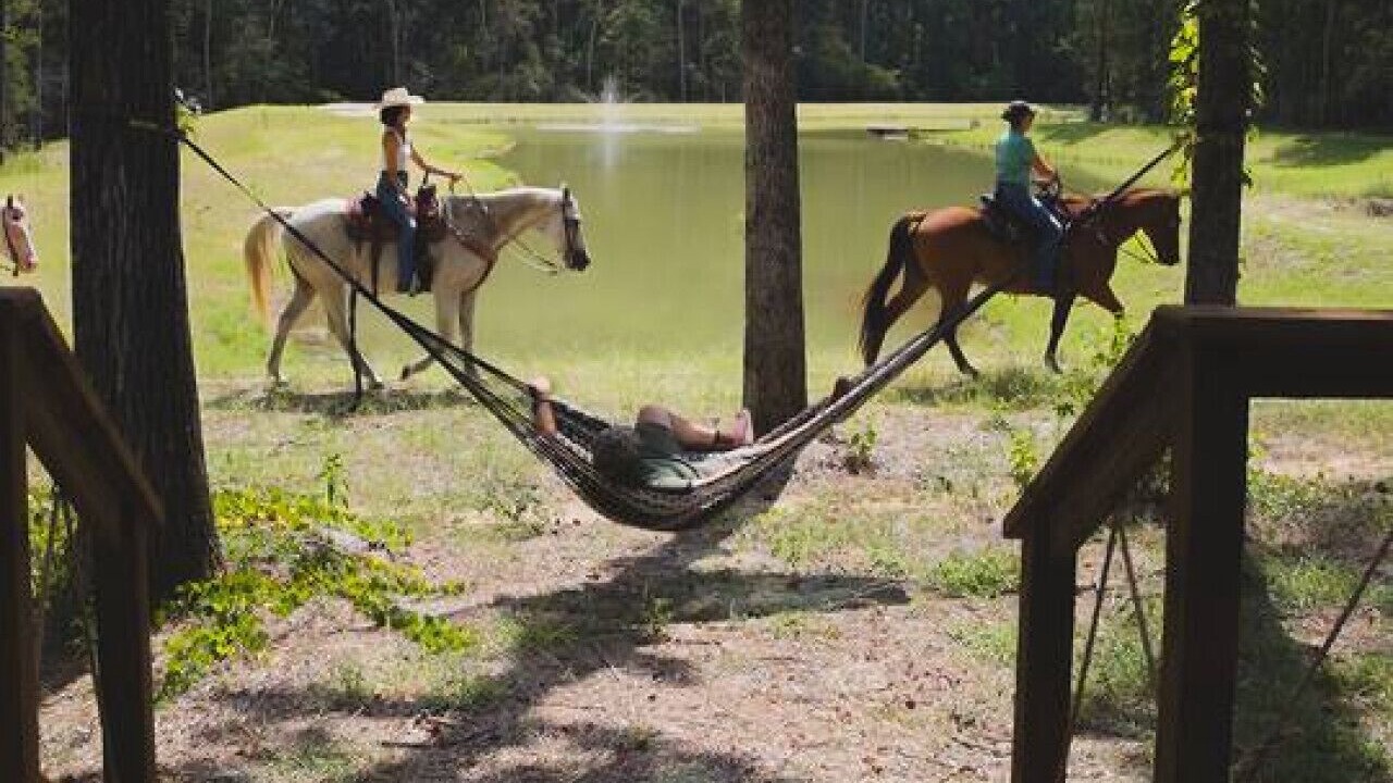Photo of Others in Conroe