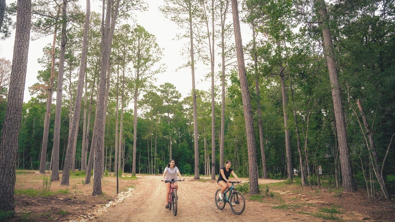 Photo of Others in Conroe
