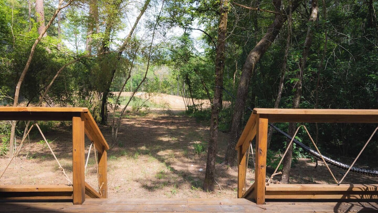 Photo of Outdoor in Conroe