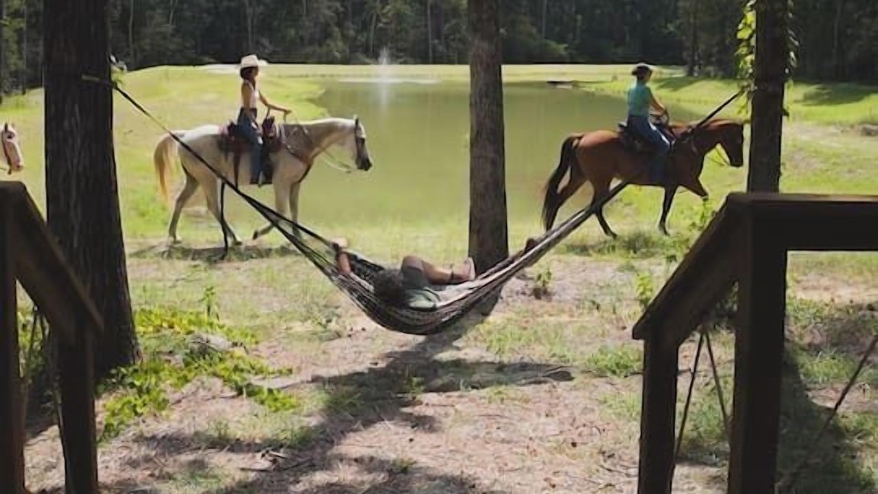 Photo of Outdoor in Conroe
