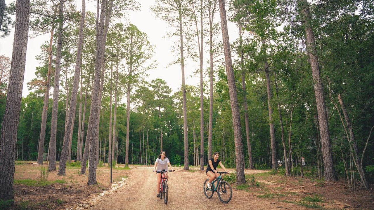 Photo of Others in Conroe